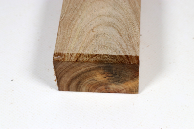 Johannisbrotbaum 215x60x38mm - JoBro0123