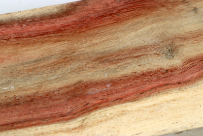 Carob Tree 240x60x55mm - JoBro0116
