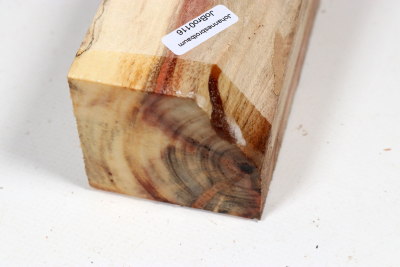 Carob Tree 240x60x55mm - JoBro0116