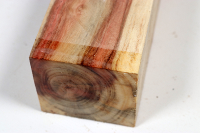 Carob Tree 240x60x55mm - JoBro0116