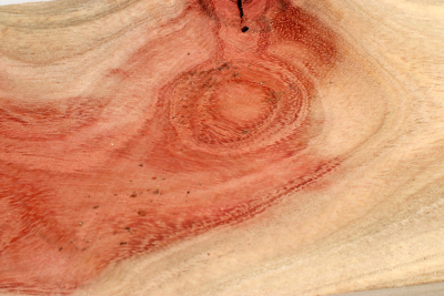 Carob Tree 240x65x55mm - JoBro0125