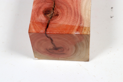 Carob Tree 240x65x55mm - JoBro0125