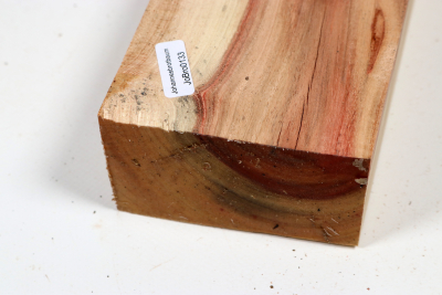 Johannisbrotbaum 450x85x45mm - JoBro0133