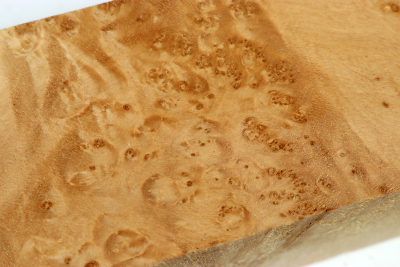 Square Maple Burl 300x65x65mm - Ahorn0394