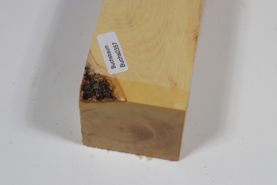 Square Boxwood 280x50x50mm - Buchs0357