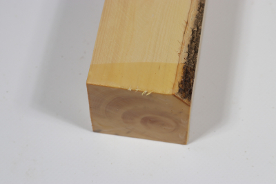 Square Boxwood 280x50x50mm - Buchs0357