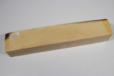 Square Boxwood 280x50x50mm - Buchs0357