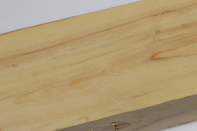 Square Boxwood 330x50x50mm - Buchs0358