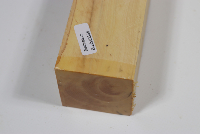 Square Boxwood 330x50x50mm - Buchs0358