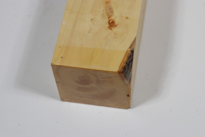 Square Boxwood 330x50x50mm - Buchs0358