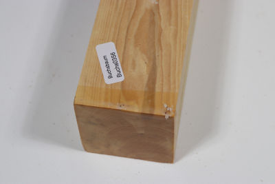 Square Boxwood 350x50x50mm - Buchs0356
