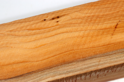 Square Yew 305x50x50mm - Eib1495