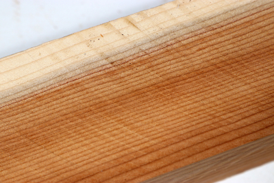 Square Yew 305x50x50mm - Eib1624