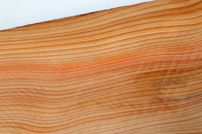 Square Yew 305x65x65mm - Eib1541