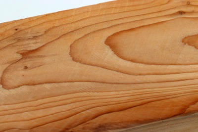 Square Yew 305x65x65mm - Eib1549
