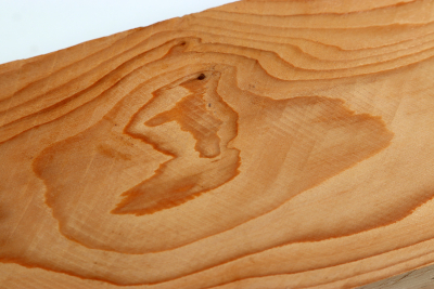 Square Yew 305x65x65mm - Eib1550