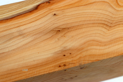 Square Yew 305x65x65mm - Eib1551