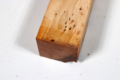 Square Yew Burl 305x45x45mm - Eib1328