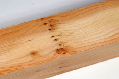 Square Yew Burl 305x50x50mm - Eib1192