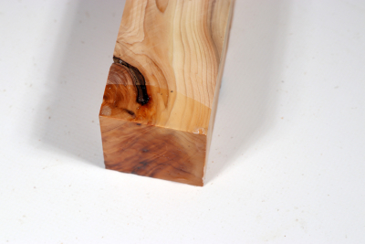 Square Yew Burl 305x50x50mm - Eib1193