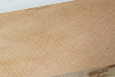 Square Eucalyptus 505x60x60mm - Euka0219