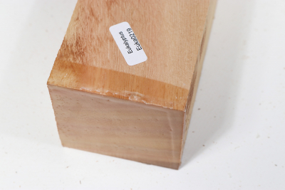 Square Eucalyptus 505x60x60mm - Euka0219