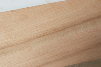 Square Eucalyptus 505x60x60mm - Euka0223