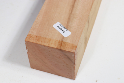 Square Eucalyptus 505x60x60mm - Euka0223