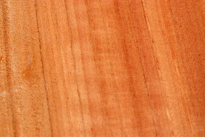 Block Eucalyptus, red 205x175x60mm - Euka0178