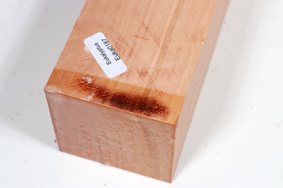 Square Eucalyptus, red 305x60x60mm - Euka0187