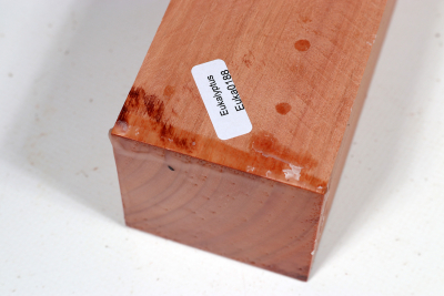 Kantel Eukalyptus, rot 305x60x60mm - Euka0188