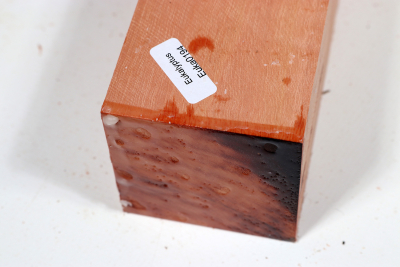 Kantel Eukalyptus, rot 305x60x60mm - Euka0194