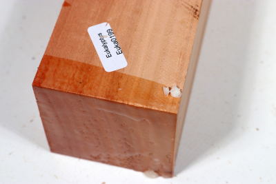 Square Eucalyptus, red 305x60x60mm - Euka0199
