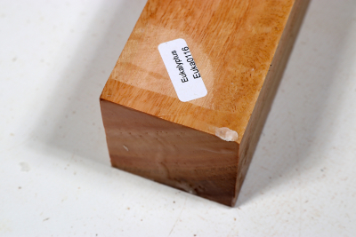 Square Eucalyptus 305x50x50mm - Euka0116