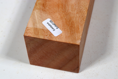 Square Eucalyptus 305x60x60mm - Euka0109
