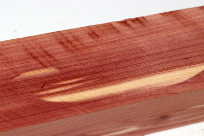 Square Eastern Red Cedar 305x50x50mm - Zed0271