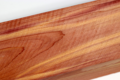 Square Eastern Red Cedar 305x50x50mm - Zed0303