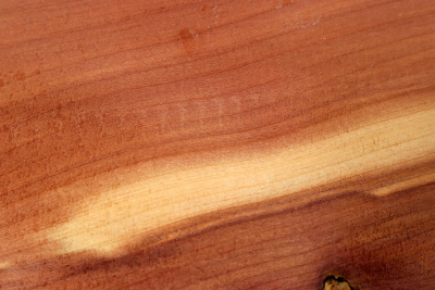Square Eastern Red Cedar 345x90x50mm - Zed0290
