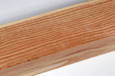 Square Kentucky Coffeetree 305x45x45mm - Gewe0104