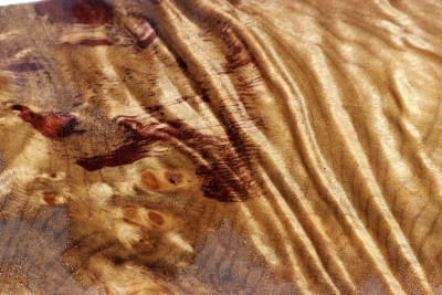 Square Golden Madrone Burl 275x85x58mm - GMadr0572