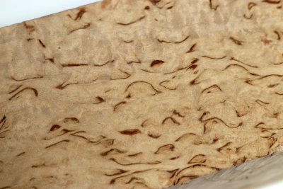 Square Karelian Masurbirch 240x55x55mm - KarMB2689