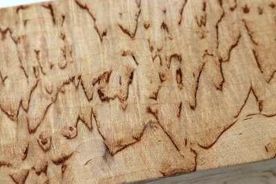 Square Karelian Masurbirch 305x55x55mm A++ - KarMB2688
