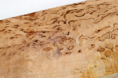 Square Karelian Masurbirch 305x55x55mm - KarMB2211