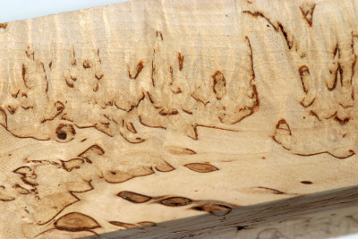 Square Karelian Masurbirch 305x62x62mm - KarMB2537