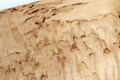 Square Karelian Masurbirch 320x82x55mm - KarMB2228