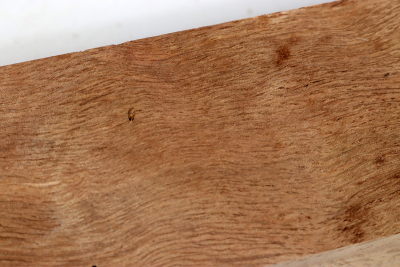 Kantel Korkeiche 305x60x60mm - Kork0010