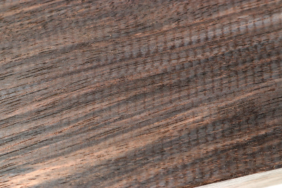 Macassar Ebony 505x100x50mm - Maka0837