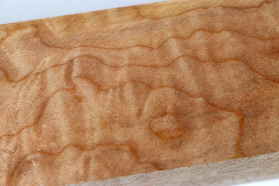 Kantel Muschelahorn 305x60x60mm - Ahorn0401