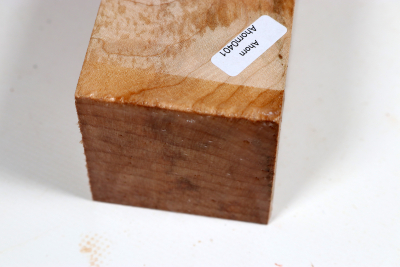 Kantel Muschelahorn 305x60x60mm - Ahorn0401