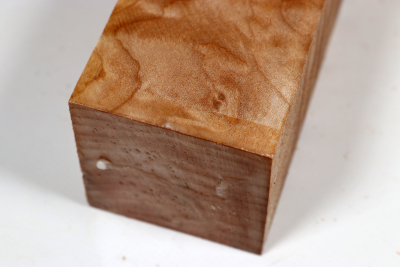 Kantel Muschelahorn 305x60x60mm - Ahorn0401